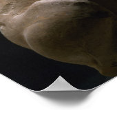 beeld van een hond, mesopotamie, c.5000-1000 BC (l Poster (Hoek)