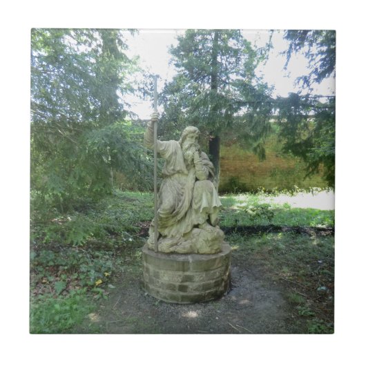 beeld van een Welsh Druid in Erddig Hall Tegeltje (Voorkant)