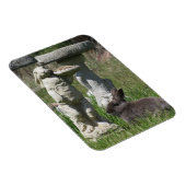 Beeld van konijn en haas Vogelvoederbak Magneet (Rechterzijde)