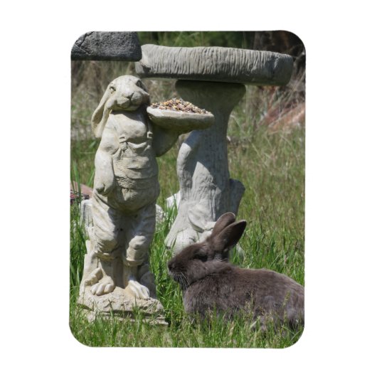 Beeld van konijn en haas Vogelvoederbak Magneet (Verticaal)