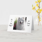 BEELD ZEGGEN DAT JE "21" BENT KAART (Gele Bloem)