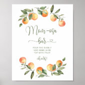 Beeldbord van de kleine mantie Mam-osa Poster (Voorkant)