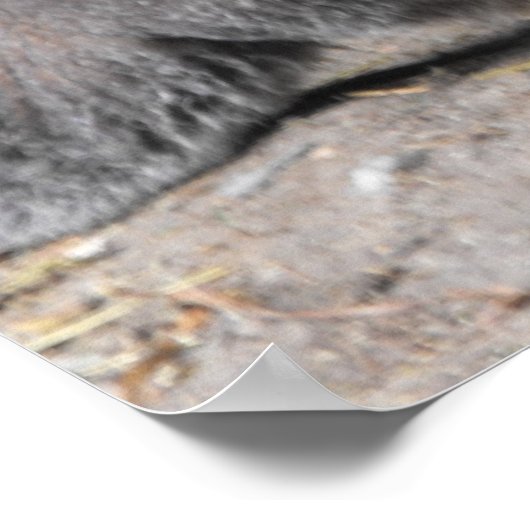 Beelddelen Poster (Hoek)