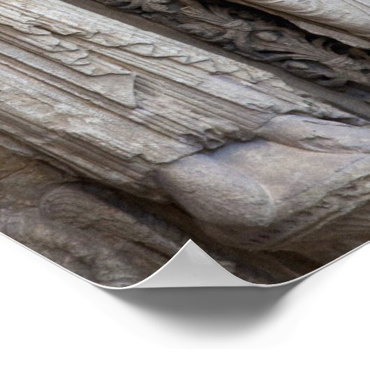 beelden van de gevel van Chartres Poster (Hoek)