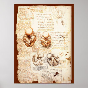 Beelden van een foetus in de baarmoeder, Verloskun Poster