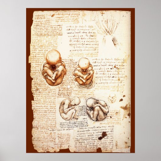 Beelden van een foetus in de baarmoeder, Verloskun Poster (Voorkant)