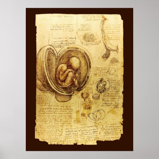 Beelden van een foetus in de baarmoeder, Verloskun Poster (Voorkant)