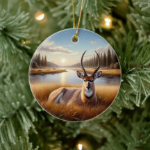 Beeldige Amerikaanse Antilope Dierentuin Souvenir