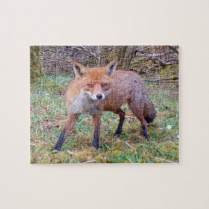 Beeldige portretfoto van rode vos in de sneeuw legpuzzel