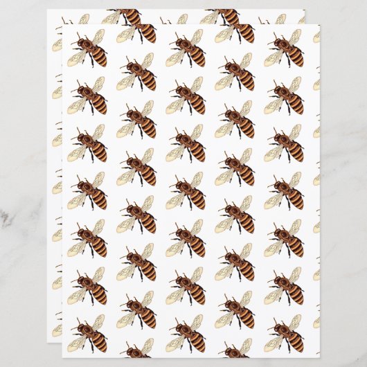 Beeldpatroon origamipapier (Voorkant / Achterkant)