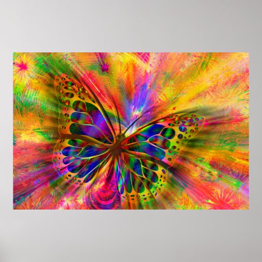 Beeldscherm van de vlinder poster (Voorkant)