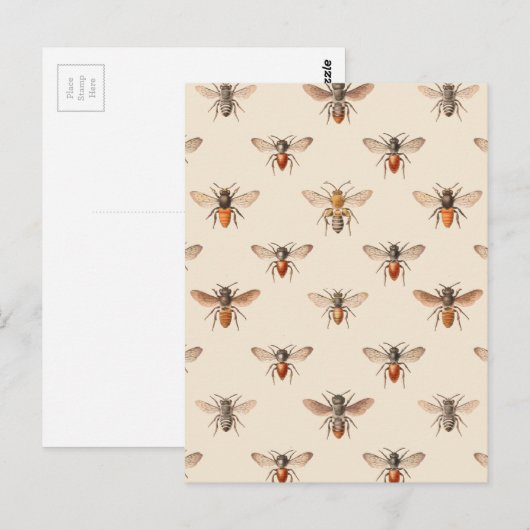 beeldschermpatroon briefkaart (Voorkant / Achterkant)