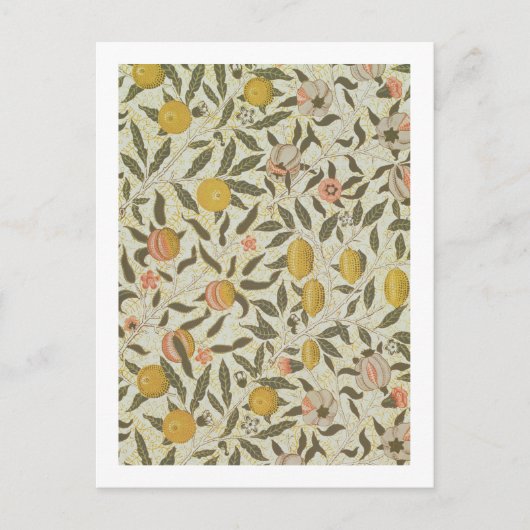 Beeldvormingsmodel voor fruit of granaatappelen briefkaart (Voorkant)