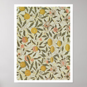 Beeldvormingsmodel voor fruit of granaatappelen poster