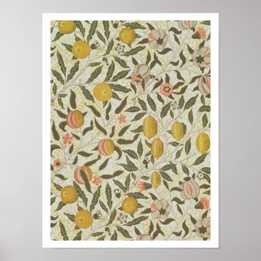 Beeldvormingsmodel voor fruit of granaatappelen poster (Voorkant)