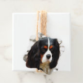 Beeltenis: A King Charles Cavalier Spaniel Bedankjes Labels (In situ)