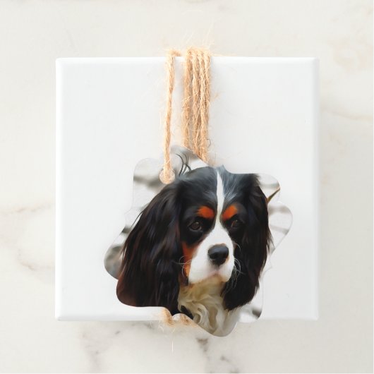 Beeltenis: A King Charles Cavalier Spaniel Bedankjes Labels (In situ)