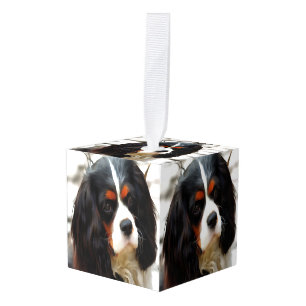 Beeltenis: A King Charles Cavalier Spaniel Decoratie