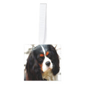 Beeltenis: A King Charles Cavalier Spaniel Decoratie (Voorkant)