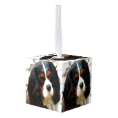 Beeltenis: A King Charles Cavalier Spaniel Decoratie (Achter hoekig)