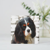 Beeltenis: A King Charles Cavalier Spaniel Feestdagenkaart (Staand voorkant)