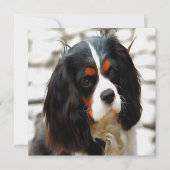 Beeltenis: A King Charles Cavalier Spaniel Feestdagenkaart (Voorkant)