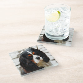 Beeltenis: A King Charles Cavalier Spaniel Glazen Onderzetter