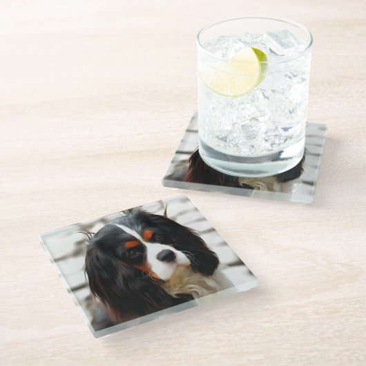 Beeltenis: A King Charles Cavalier Spaniel Glazen Onderzetter (Schuin)