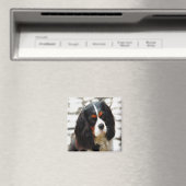 Beeltenis: A King Charles Cavalier Spaniel Magneet (Insitu (Vaatwasser))