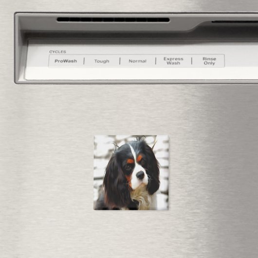 Beeltenis: A King Charles Cavalier Spaniel Magneet (Insitu (Vaatwasser))