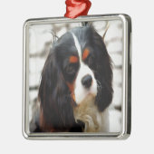 Beeltenis: A King Charles Cavalier Spaniel Metalen Ornament (Links)