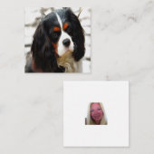 Beeltenis: A King Charles Cavalier Spaniel Notitiekaartje (Voorkant / Achterkant)