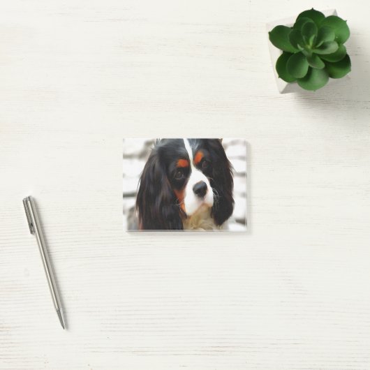 Beeltenis: A King Charles Cavalier Spaniel Post-it® Notes (Kantoor)