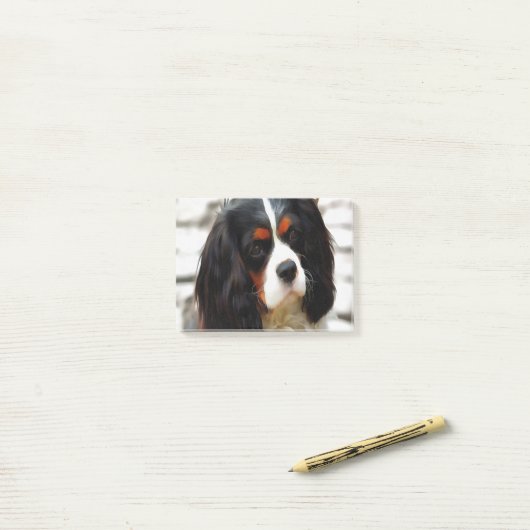 Beeltenis: A King Charles Cavalier Spaniel Post-it® Notes (Op bureau)