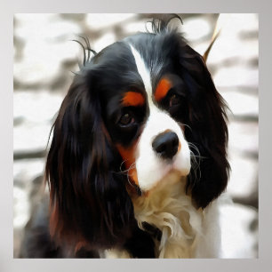 Beeltenis: A King Charles Cavalier Spaniel Poster