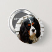 Beeltenis: A King Charles Cavalier Spaniel Ronde Button 5,7 Cm (Voorkant /achterkant)