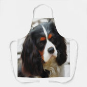 Beeltenis: A King Charles Cavalier Spaniel Schort (Voorkant)