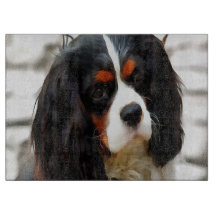 Beeltenis: A King Charles Cavalier Spaniel
