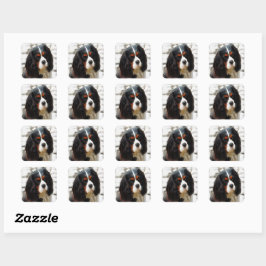Beeltenis: A King Charles Cavalier Spaniel Vierkante Sticker