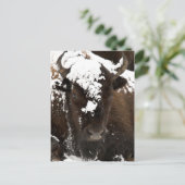 Beeltenis: Bison Covered in Snow Feestdagenkaart (Staand voorkant)