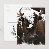 Beeltenis: Bison Covered in Snow Feestdagenkaart (Voorkant / Achterkant)