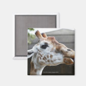 Beeltenis: Giraffa camelopardalis Magneet (Voorkant / Achterkant)