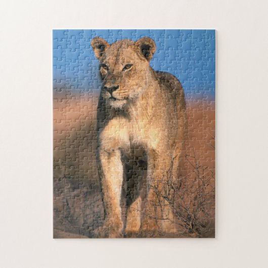 Beeltenis: Lioness (Panthera Leo) Legpuzzel (Verticaal)