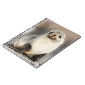 Beeltenis: Seal Pup on the Beach Notitieboek (Linkerzijde)