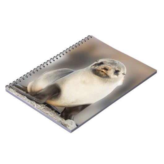 Beeltenis: Seal Pup on the Beach Notitieboek (Linkerzijde)