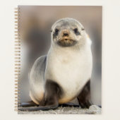 Beeltenis: Seal Pup on the Beach Planner (Voorkant)