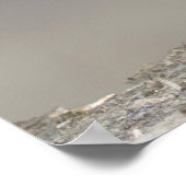 Beeltenis: Seal Pup on the Beach Poster (Hoek)