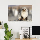 Beeltenis: Seal Pup on the Beach Poster (Thuiskantoor)