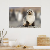 Beeltenis: Seal Pup on the Beach Poster (Keuken)