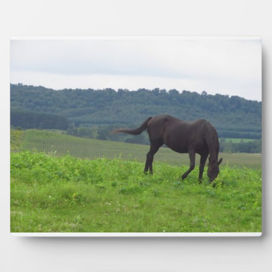 Beemdweide of Love Plaque Fotoplaat (Voorkant)